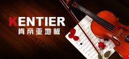 公司介绍