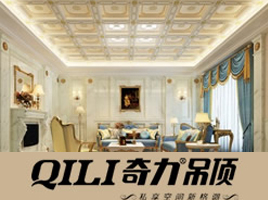 公司介绍