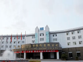 公司介绍
