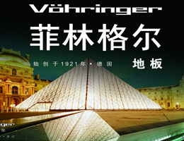 公司介绍